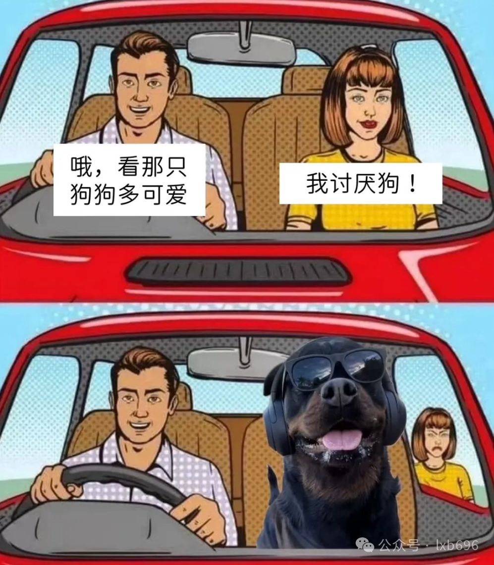 Word文档图片