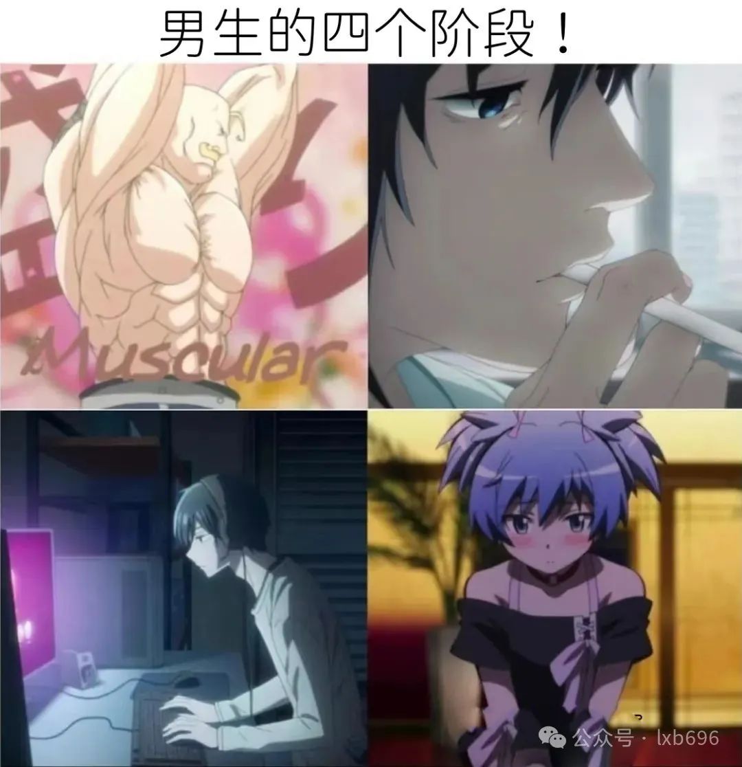 Word文档图片