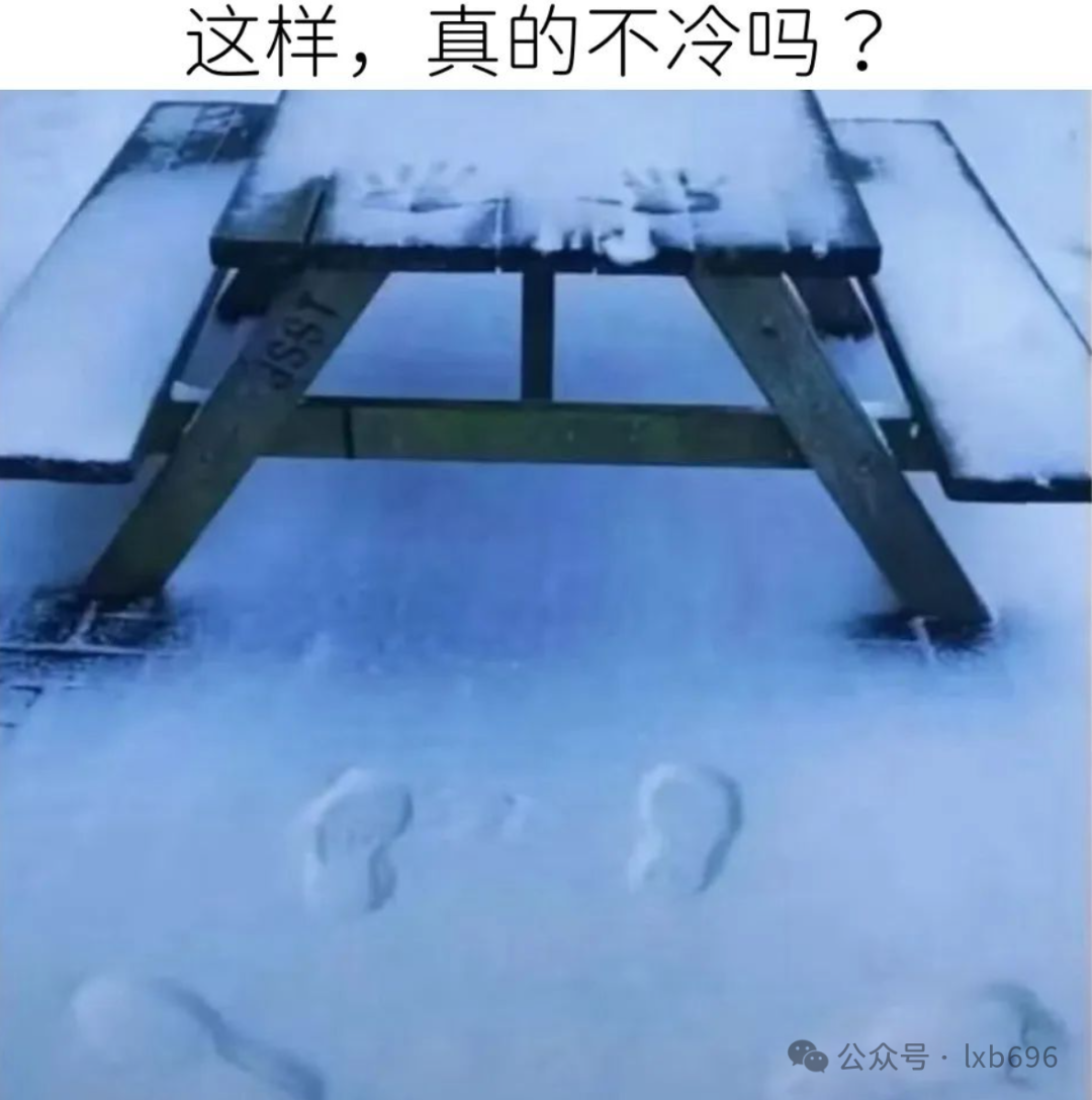 Word文档图片