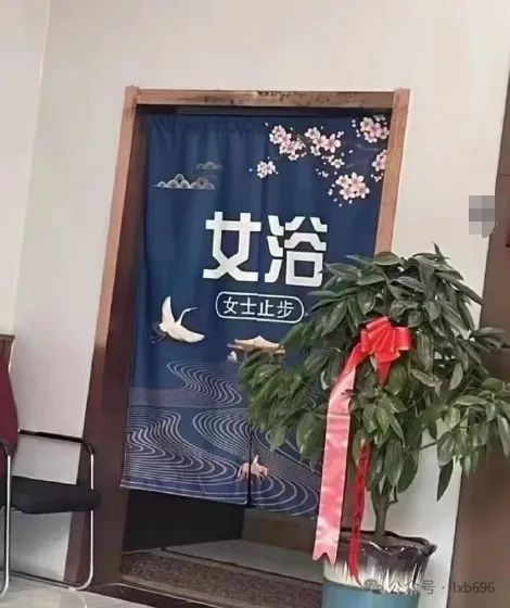 Word文档图片