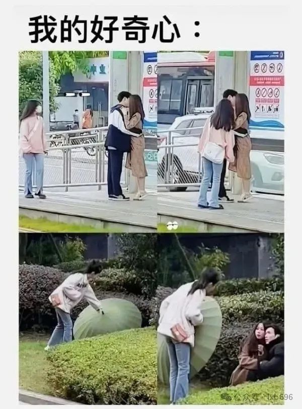 Word文档图片