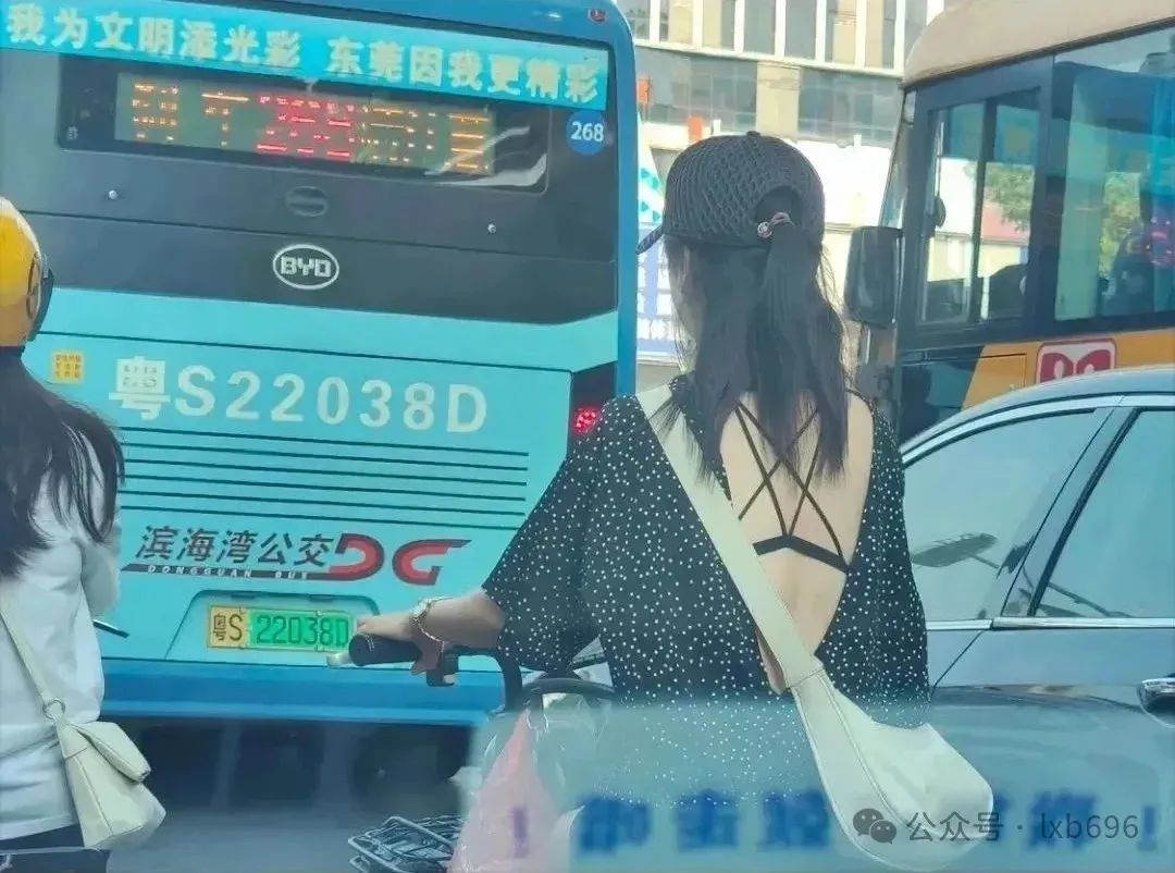 Word文档图片