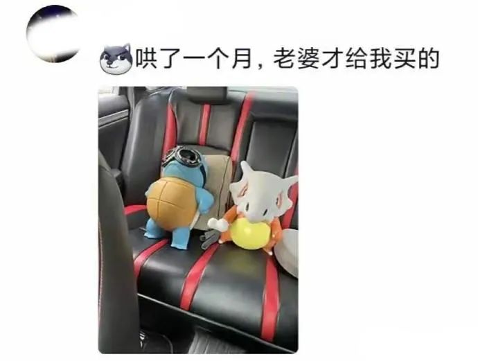 Word文档图片