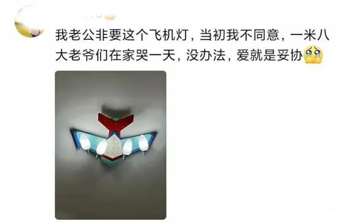 Word文档图片