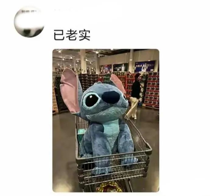 Word文档图片
