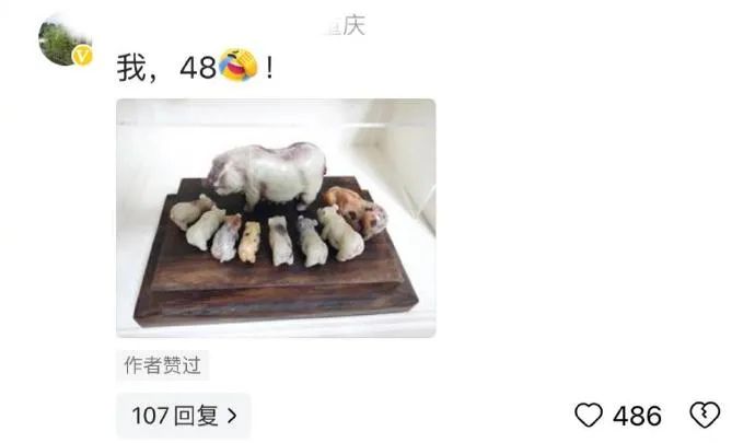 Word文档图片