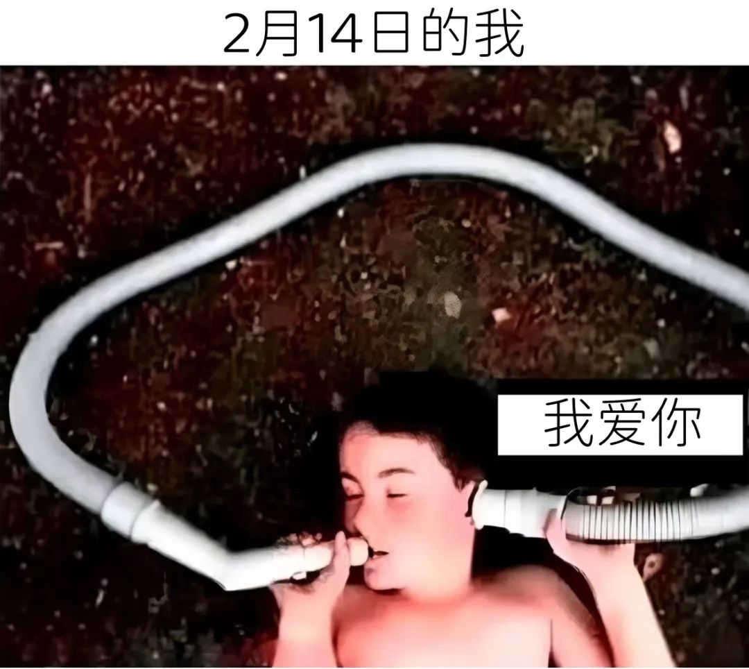 Word文档图片