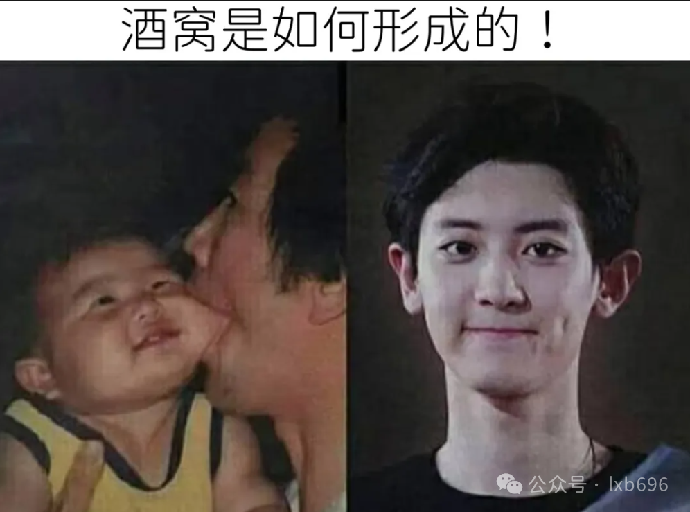 Word文档图片